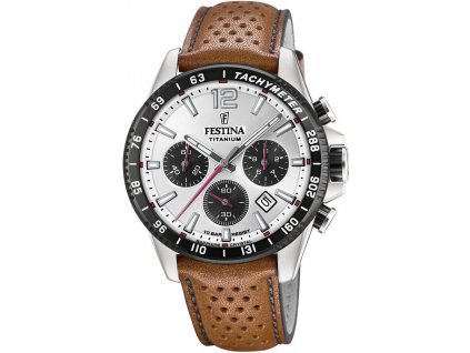 Pánske hodinky FESTINA 20521 1