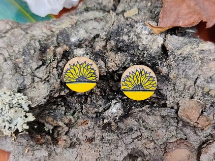 slunečnice (1)upravené