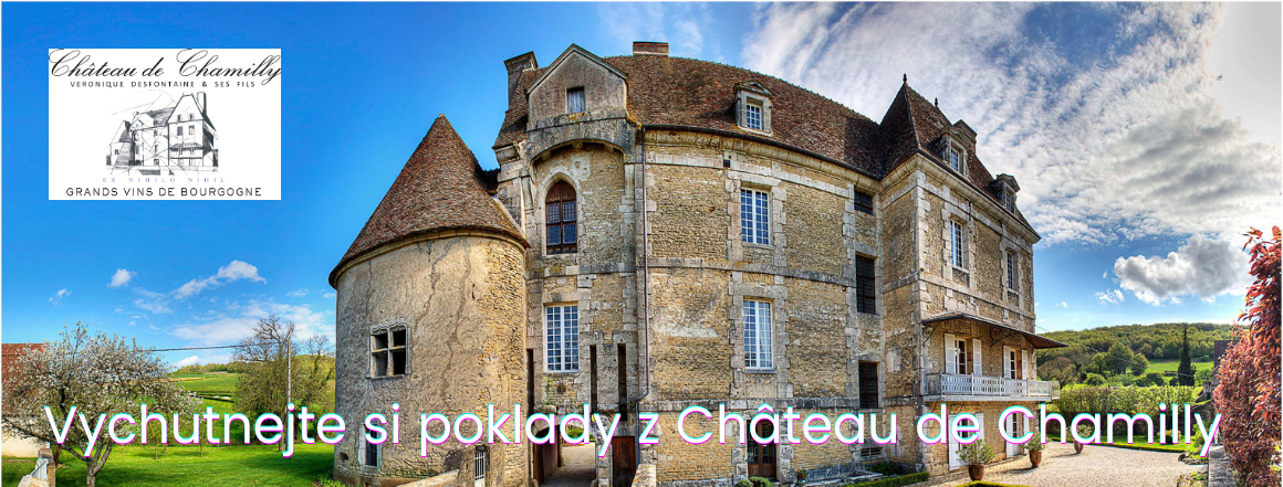 Château de Chamilly