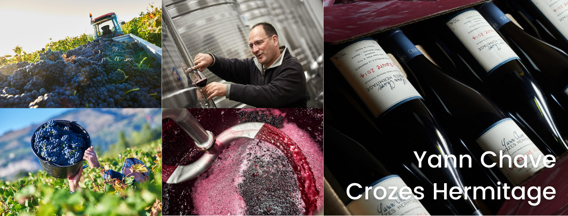 Yann Chave, Crozes Hermitage, Rhône Francie