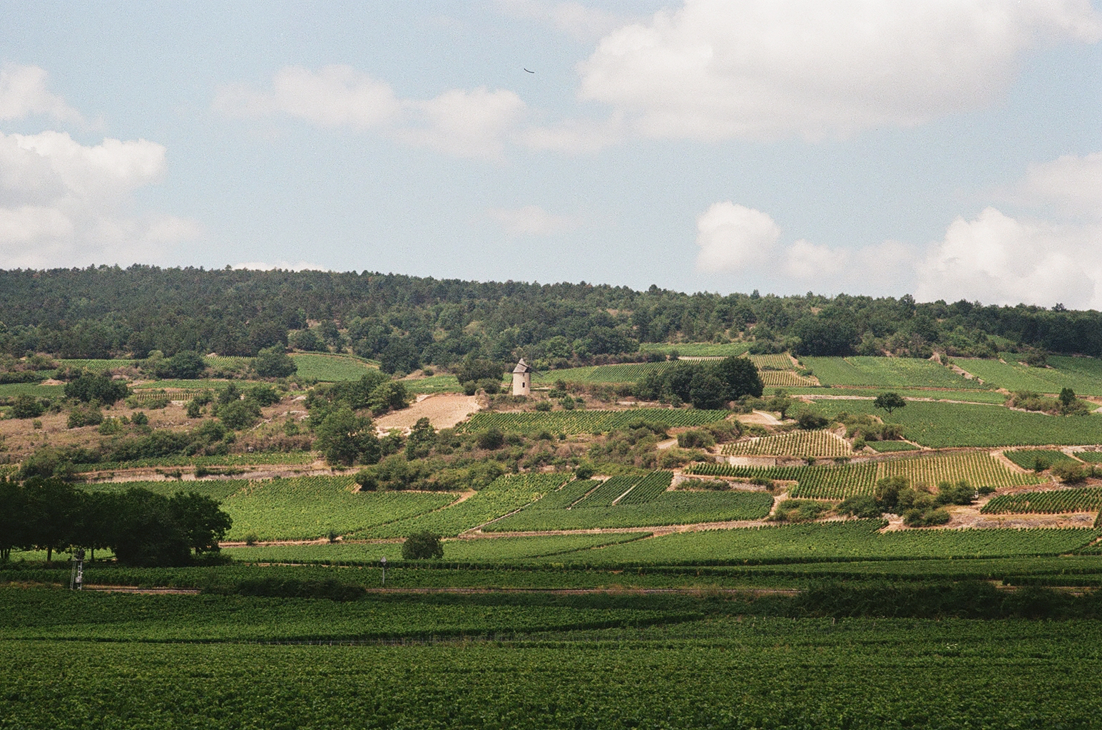 bourgogne