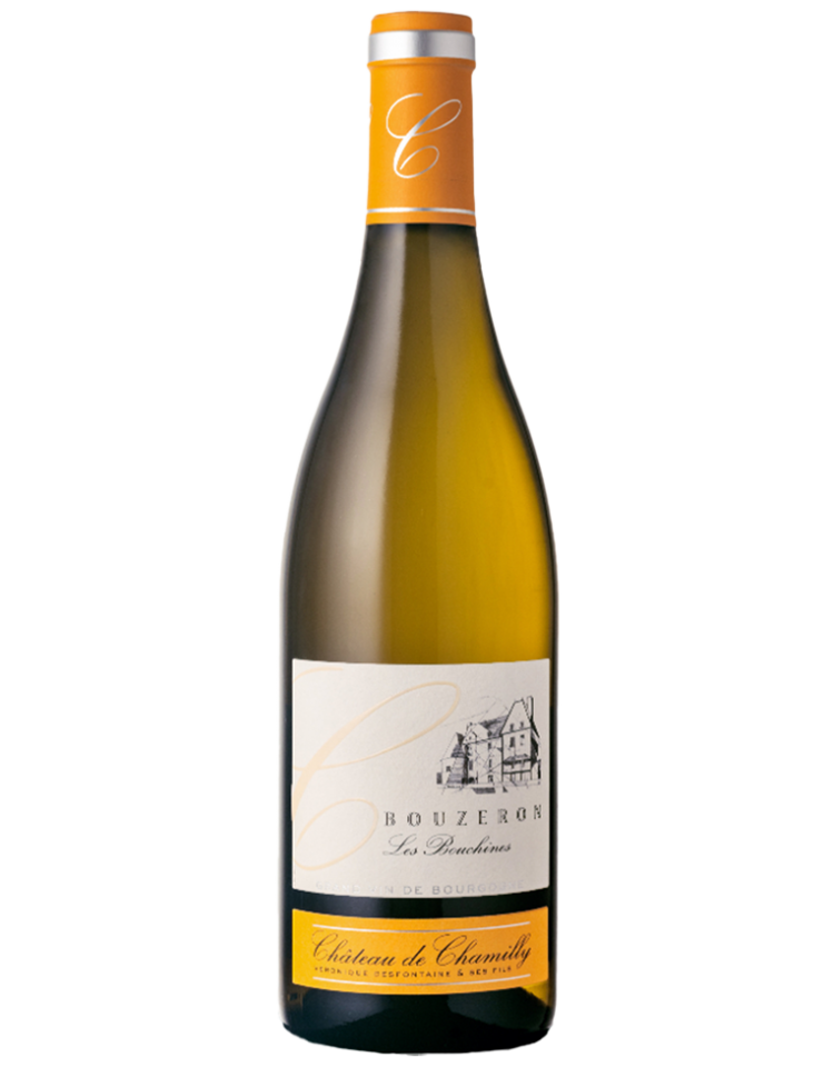 Premier Cru "Les Burnins" 2017 Montagny Chardonnay | Burgundsko, Francie | Château de Chamilly | 0.75L