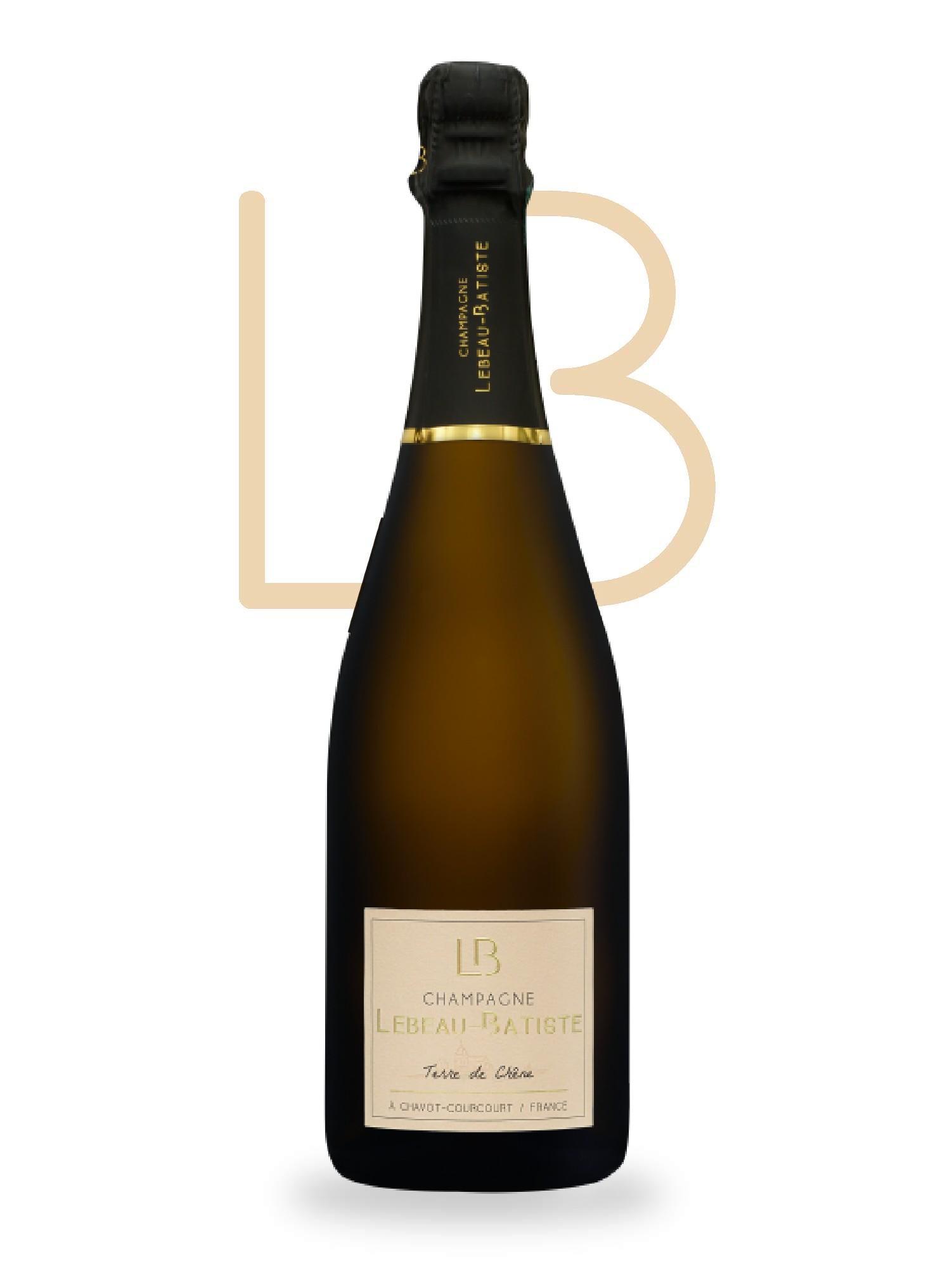 Champagne Bland de Blancs | Champagne - Vallée de la Marne, Francie | Vincent Gobert | 0.75L