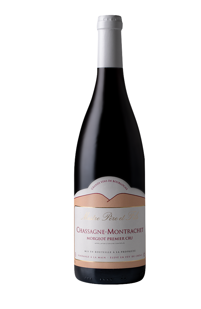 Premier Cru "Morgeot" Pinot Noir | Burgundsko - Santenay, Francie | Domaine Mestre Père & Fils | 0.75L