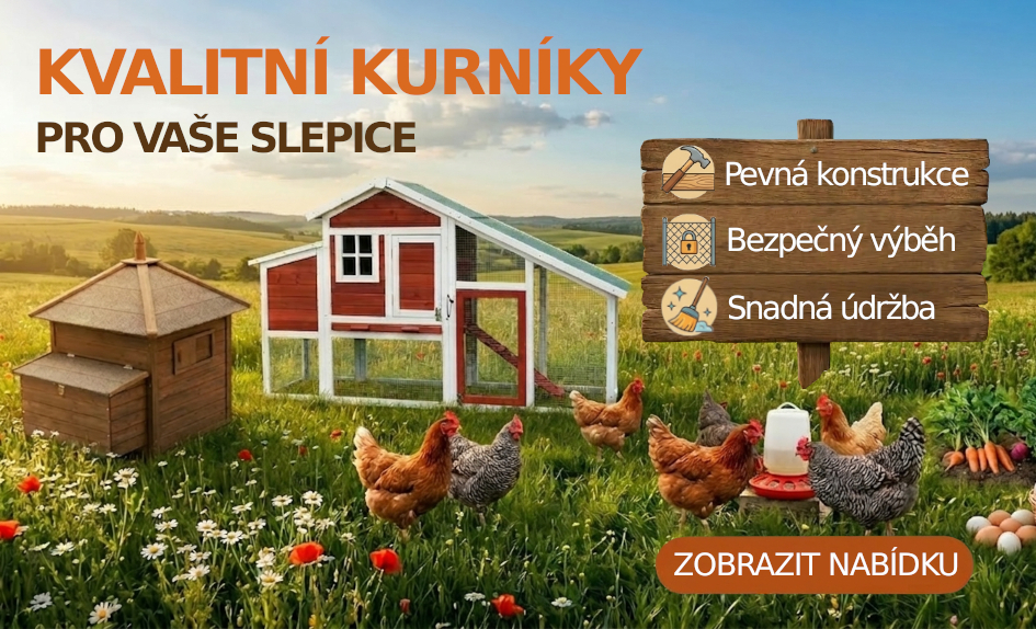 Kurníky