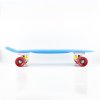 Pennyboard Fishboard Nils Extreme