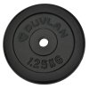 Acél súlytárcsák DUVLAN 1,25 kg