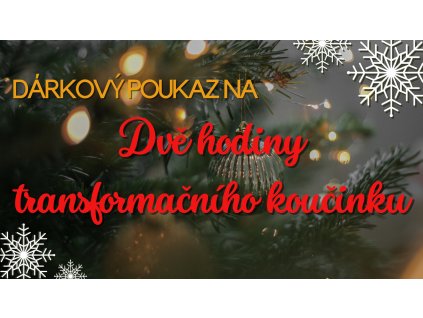 DÁRKOVÝ POUKAZ koučink