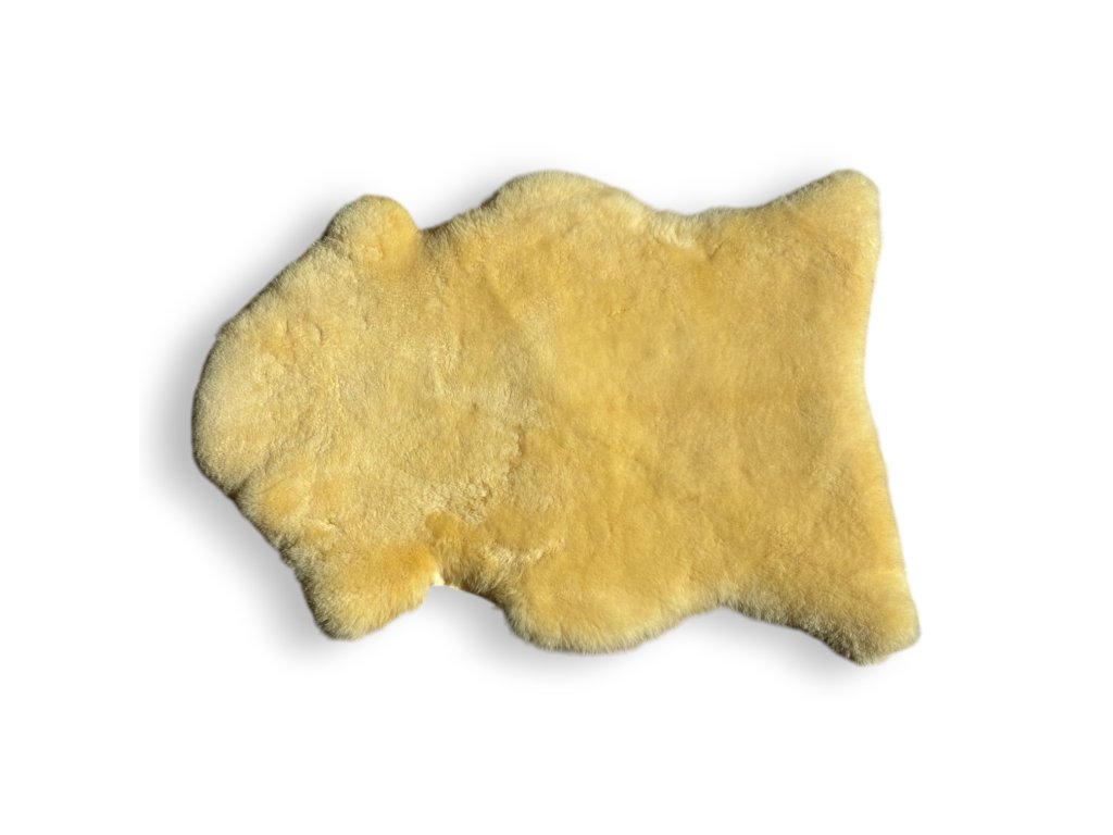 tempImageMYJ30N Photoroom