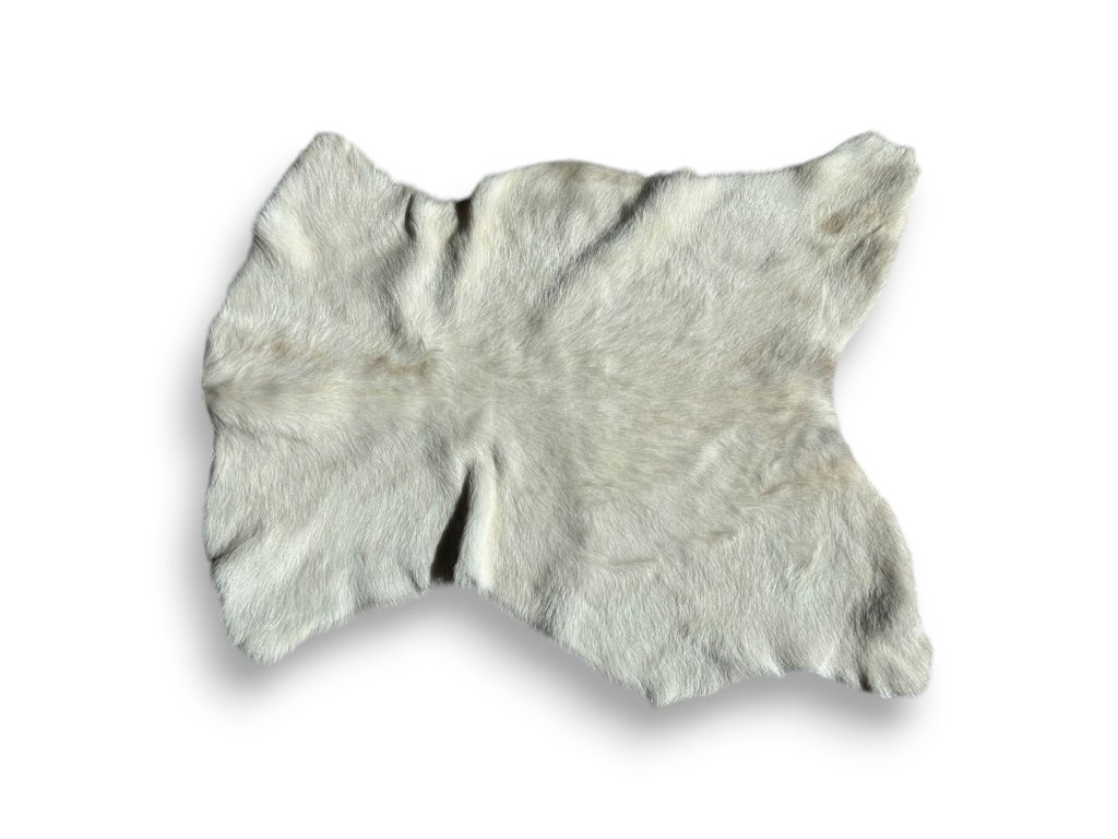 tempImagez89oK7 Photoroom