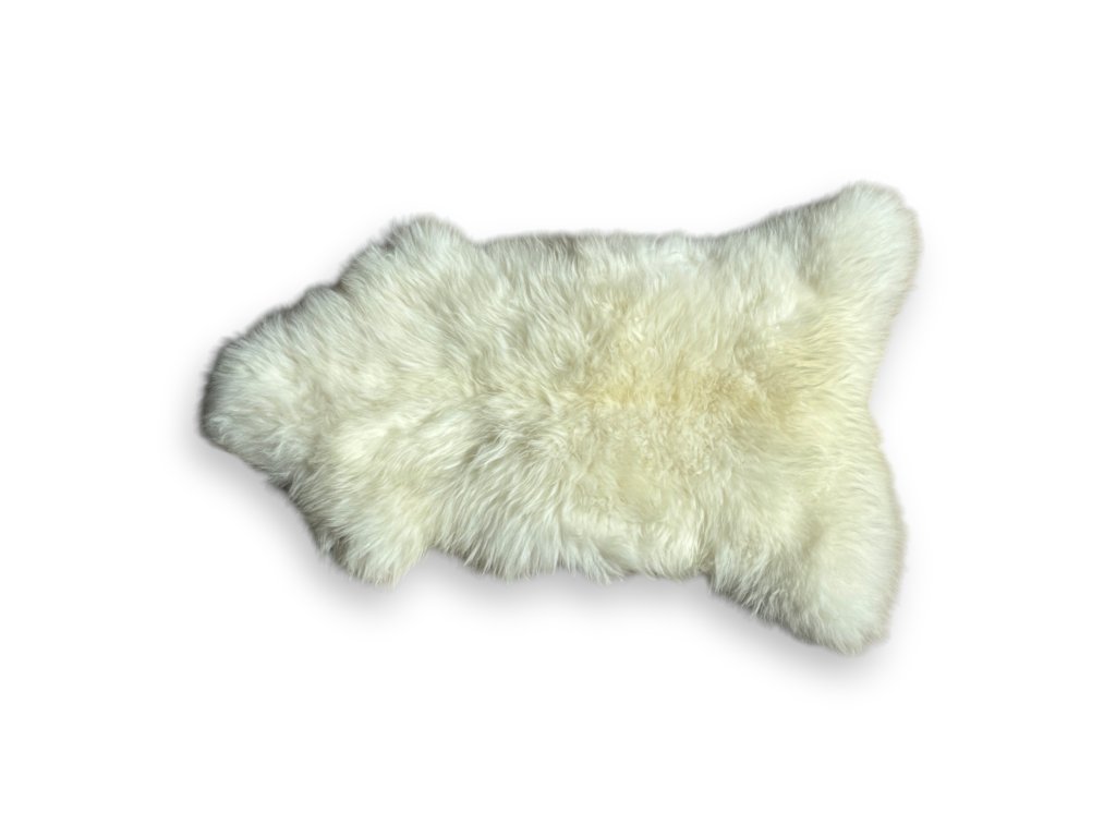 tempImageYMyWj4 Photoroom