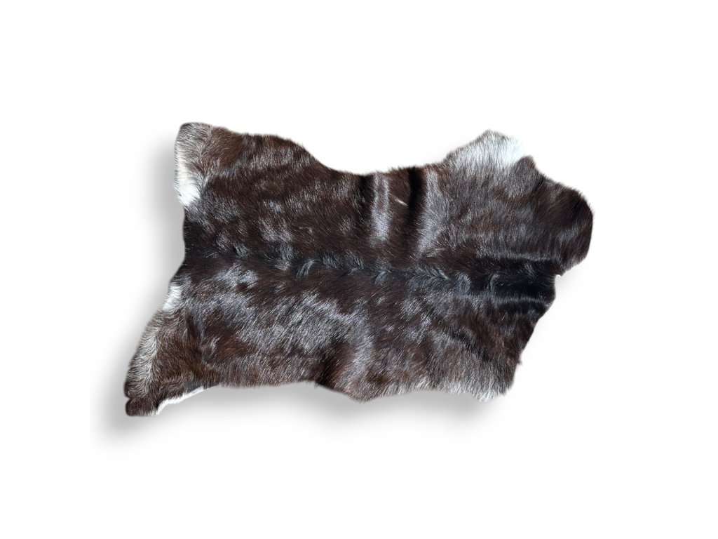 tempImageMUFd79 Photoroom