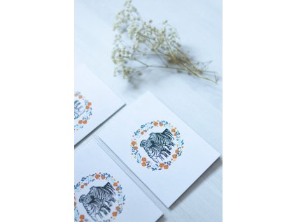 Blahopřání Spolu zebry VEPEZ4