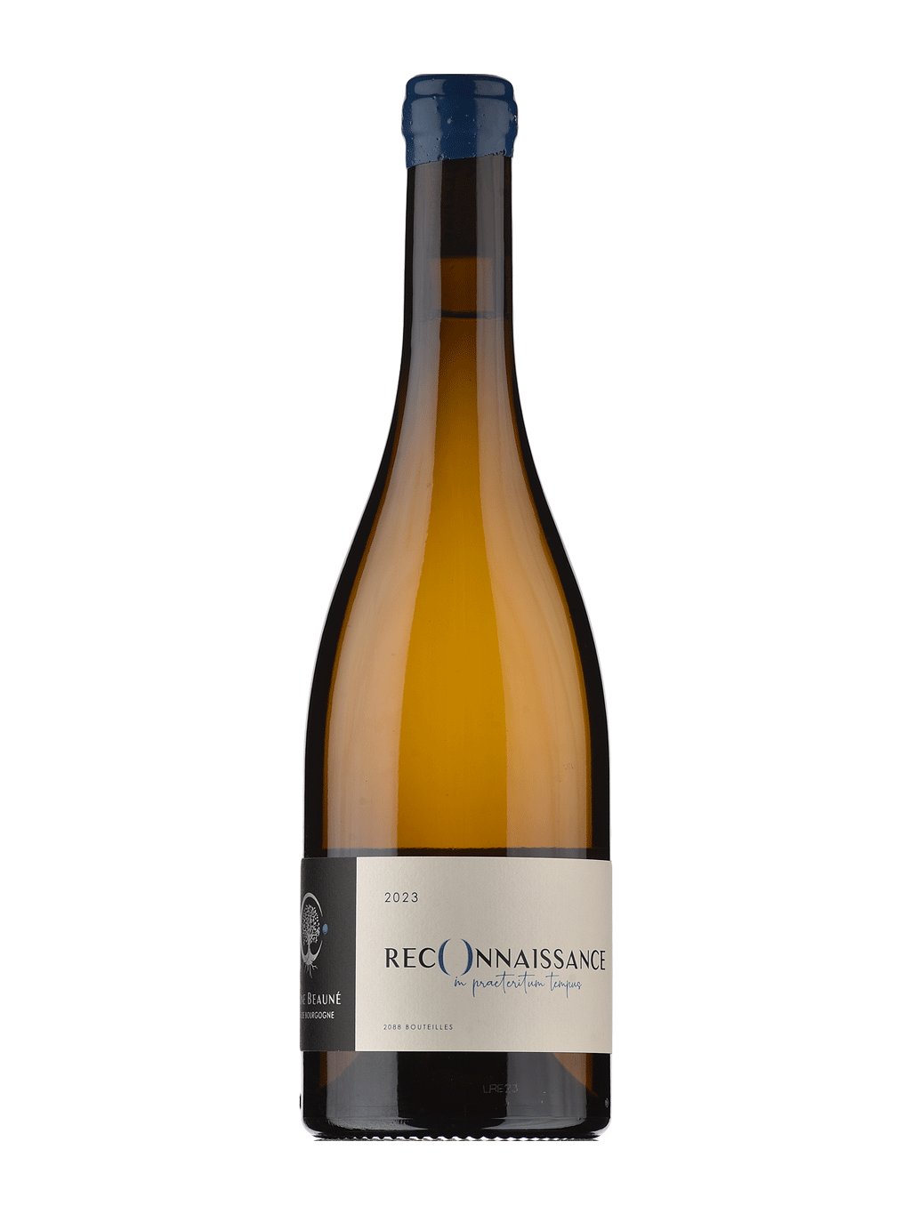 Aline Beauné Montagny Reconnaissance 2023