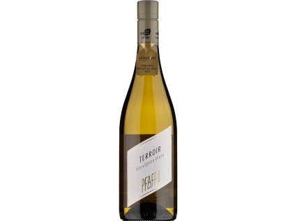 Weingut Pfaffl TERROIR Sauvignon Blanc 2023