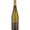 Ingrid Groiss Riesling Braitenpuechtorff 2023 BIO