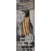 Casa Vecchio Mulino Grissini Piemontesi hľuzovka 300g