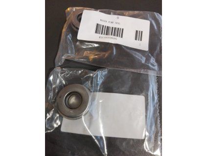 um tesneni vodni pumpy dsr