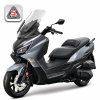 vyr 1462 Joymax Z 300 Euro 5 Logo 500x500 600x600