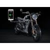 zontes 125 scrambler lita kola