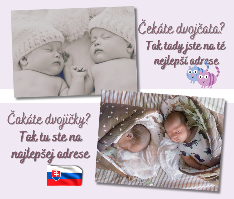 Titul dvojcatka.cz