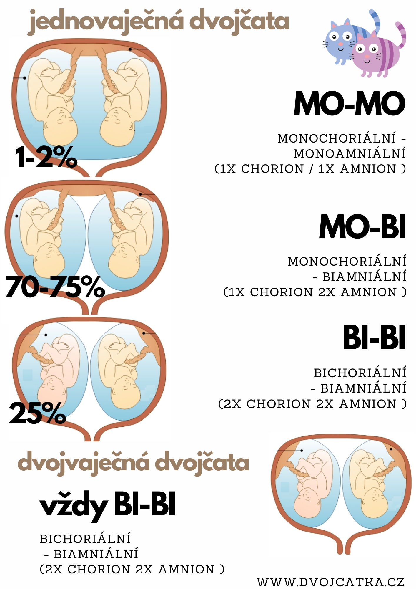 Kdy se na ultrazvuku poznají dvojčata?