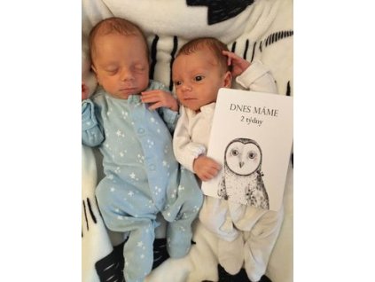 333730617 594866332489313 219585089946167461 n