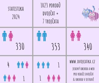 Rok opět utekl, máme tady opět statistiku dvojčátek za rok 2024. Kdo z Vás patří k 2024 ? A kdo se přidá do statistiky...