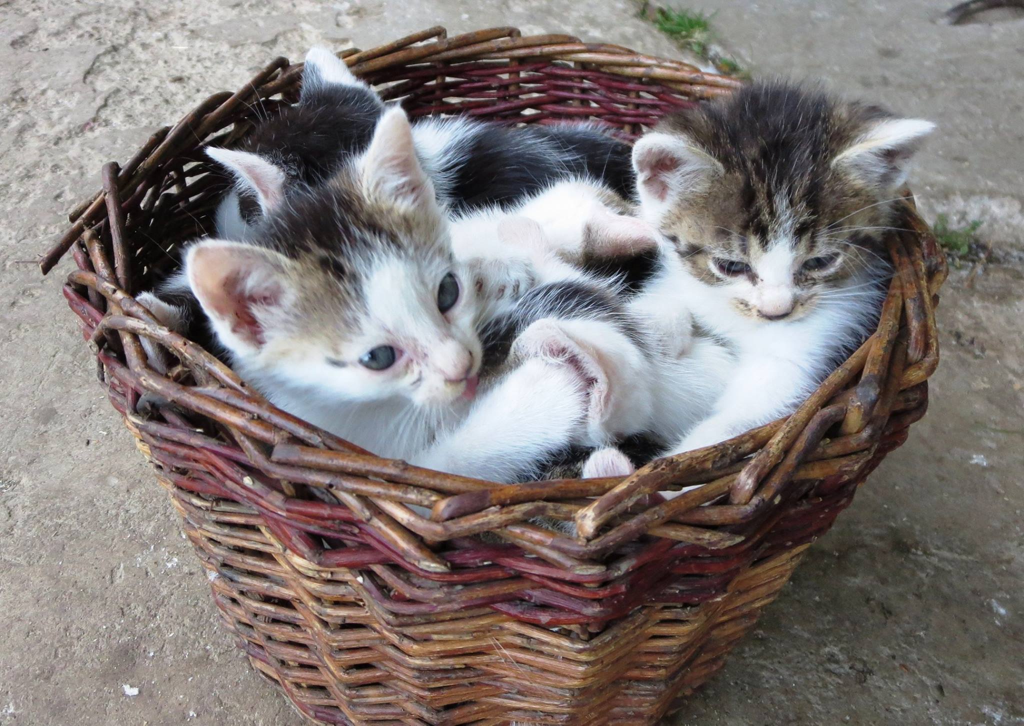 Sezonu zahájíme 22. 4. 2023