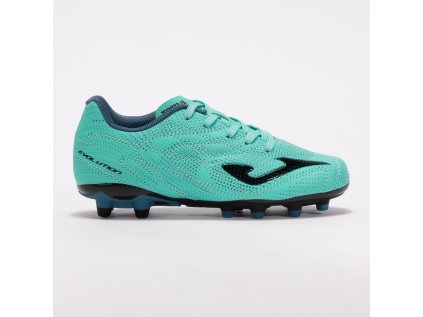 20241112100008.EVJW2517TF