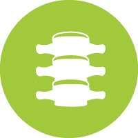 Protects intervertebral discs