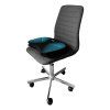 LIFE PLUS stolicka bluemuscle 800x800