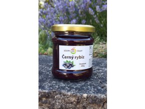 Černý rybíz