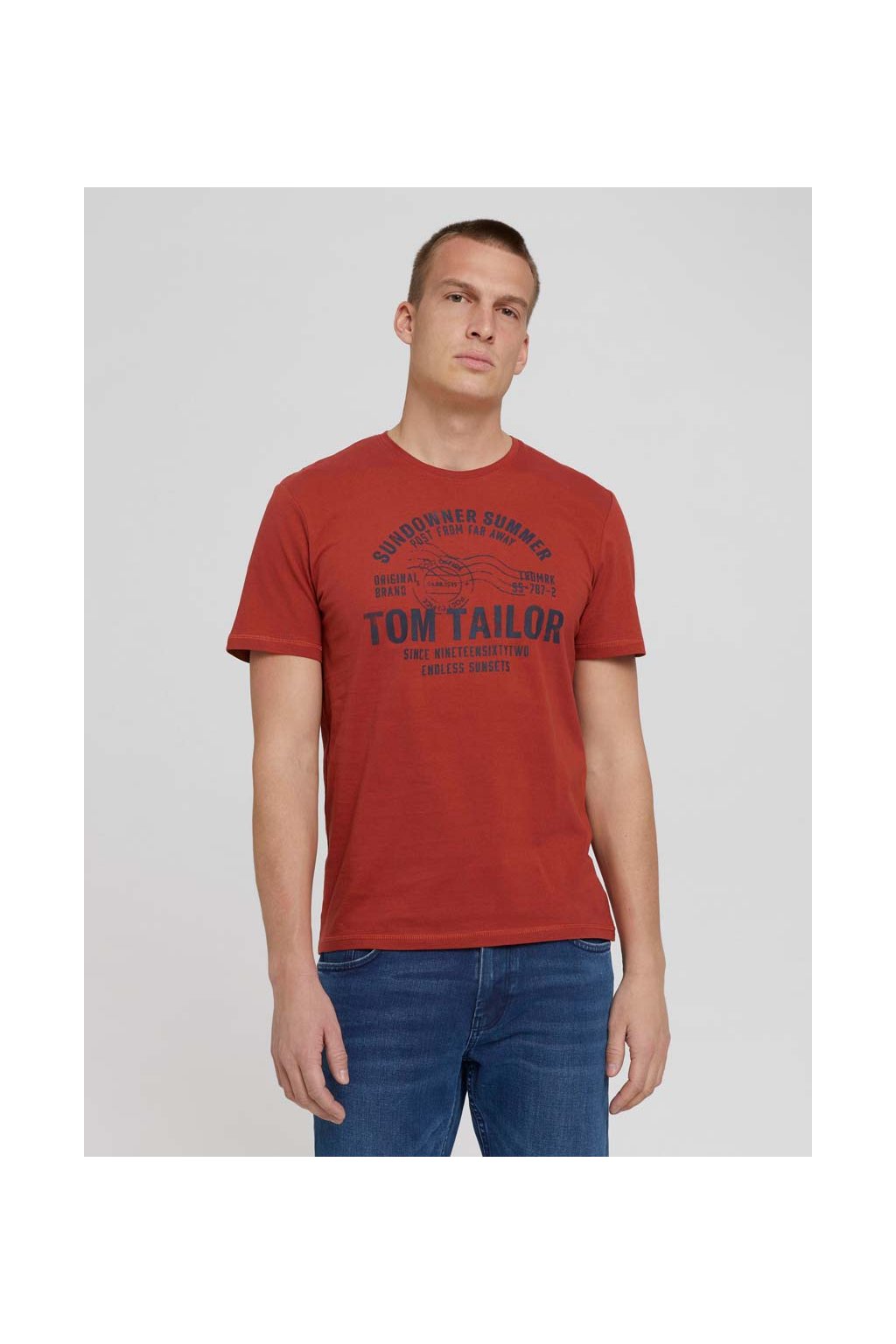 Pánske tričko Tom Tailor 1026057/26006 (Veľkosť L)
