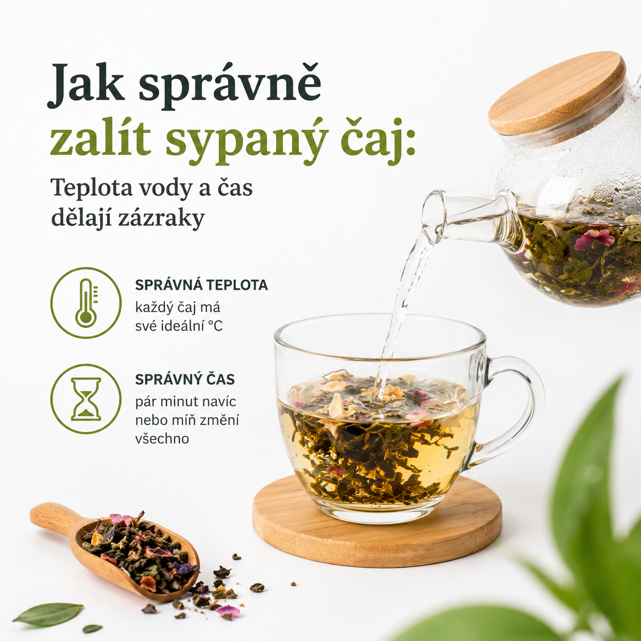 Jak správně zalít sypaný čaj: Teplota vody a čas dělají zázraky