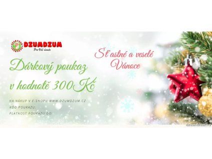 Dárkový voucher Vánoční 2