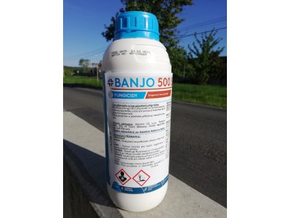Banjo plisen brambor