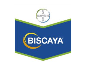 Biscaya 240 OD 5 l ukončen prodej