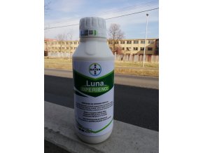 luna experience bayer