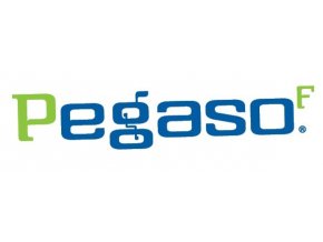 Pegaso F 1 kg