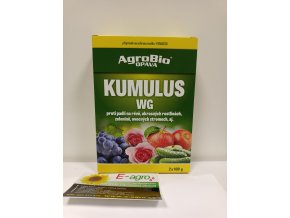 Kumulus WG fungicid