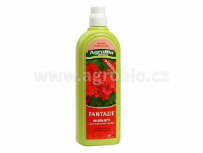 fantazie muskaty a balkonove rostlin