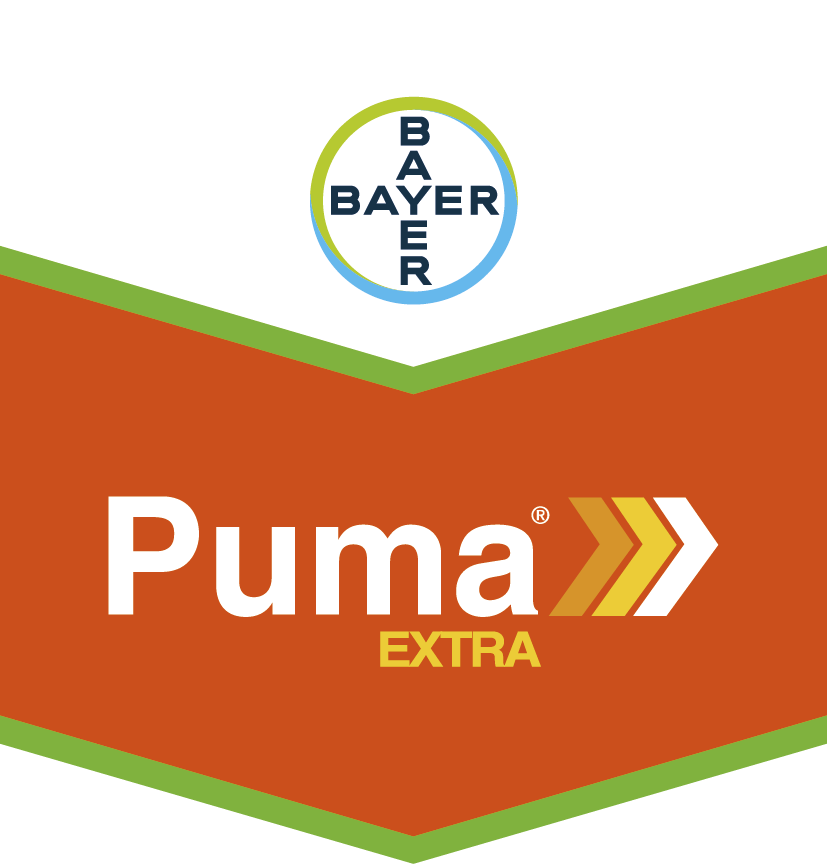 puma extra cena