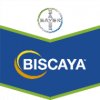 Biscaya 240 OD 5 l ukončen prodej