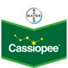 Cassiopee 79 WG 6 kg