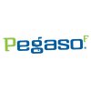 Pegaso F 1 kg