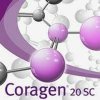 coragen mandelinka