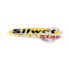Silwet Star smacedlo
