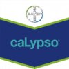 Calypso 480 SC 1 l - žraví a saví škůdci