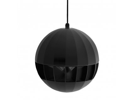 ASP20B